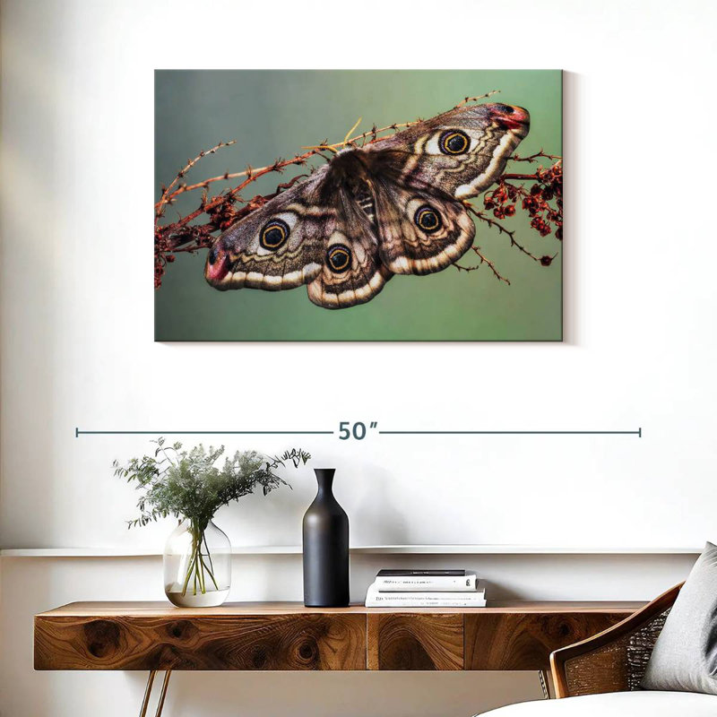 Papillon empereur