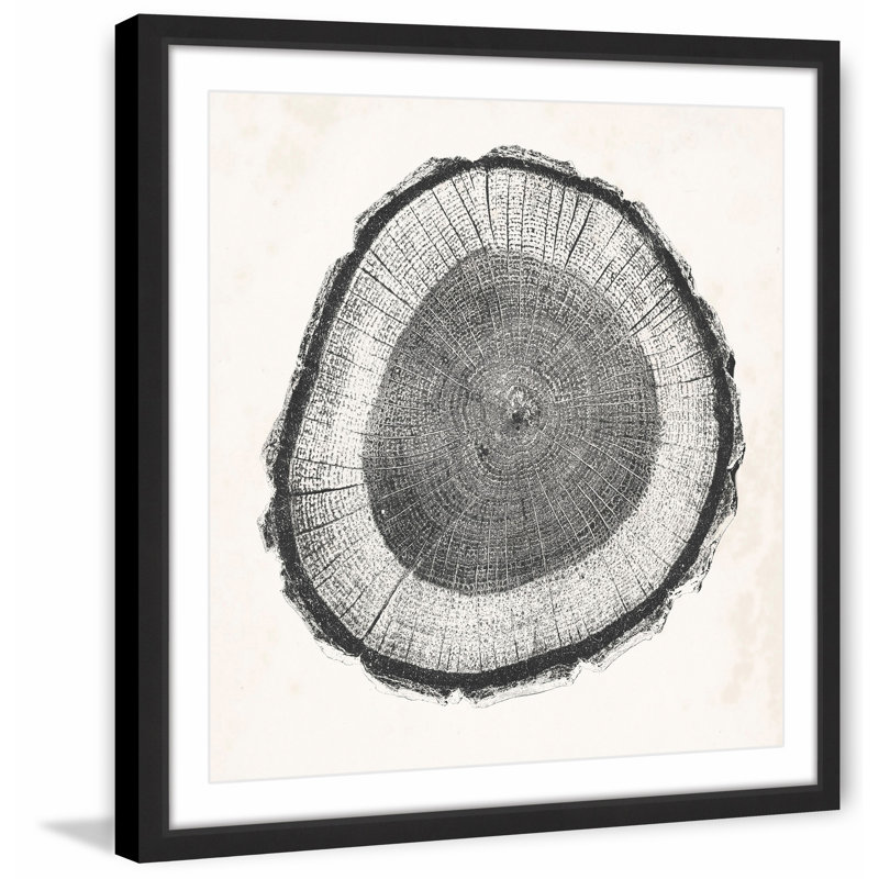 «Tree Ring II», reproduction encadrée, H 18 po x l 18 po, Encadré de noir mat