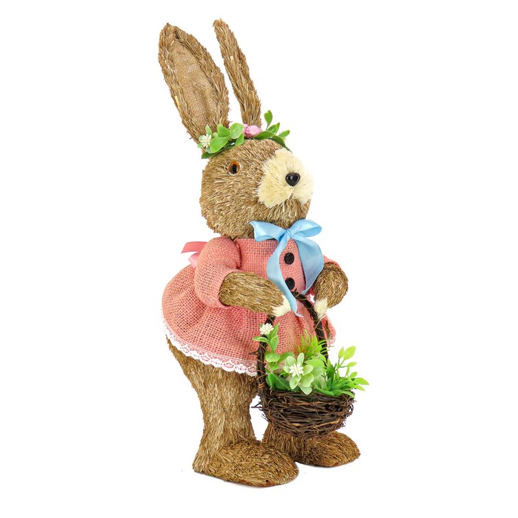 https://assets.wfcdn.com/im/07012668/resize-h755-w755%5Ecompr-r85/1841/184105480/Female+Bunny+In+Pink+Dress.jpg