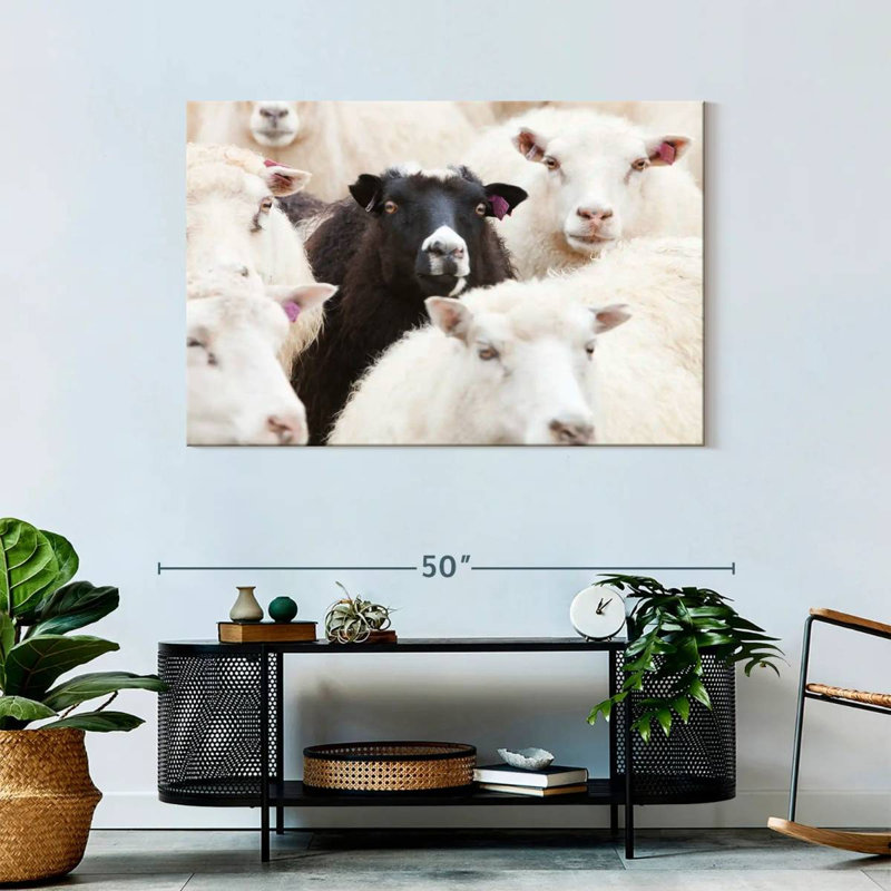 Brampt Standout Black Sheep, 30" H x 45" W
