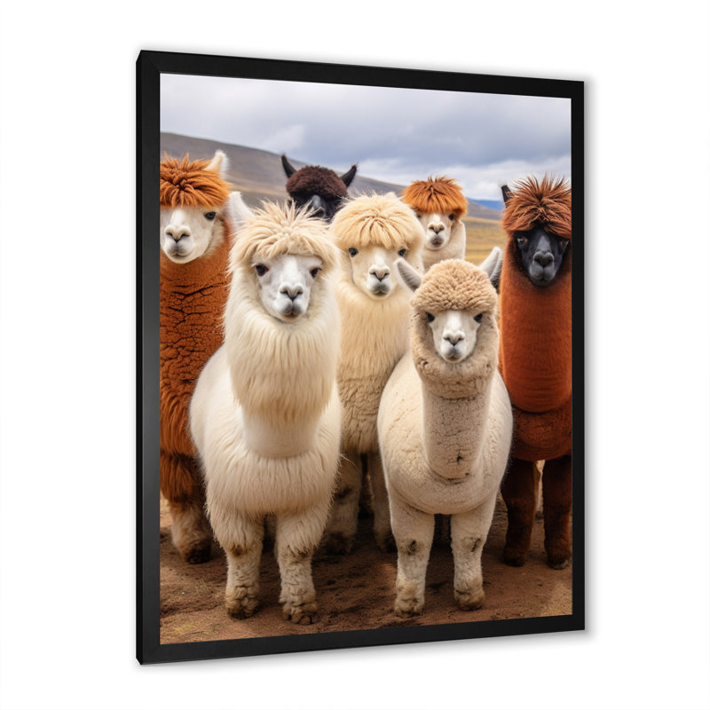 Alcapas Harmony Of Hues - Animals Canvas Art Print, H 40 po x l 30 po x P 1,5 po, Cadre photo noir