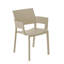 Fiona Outdoor Dining Armchair-969169534