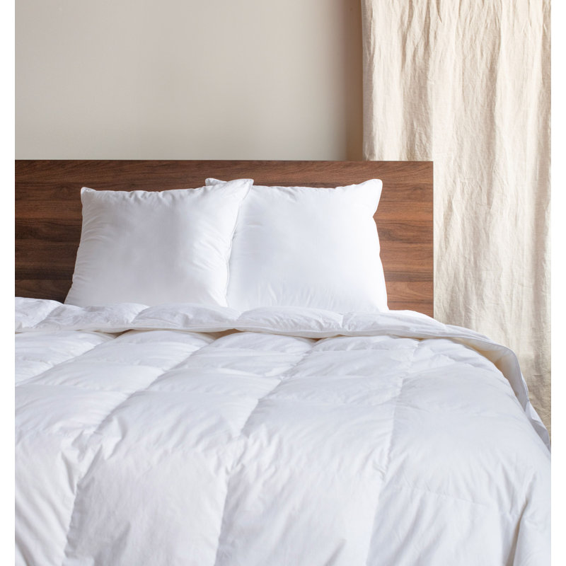 Down Alternative Throw Pillow Insert - 2 Pack, 24"H x 24"W