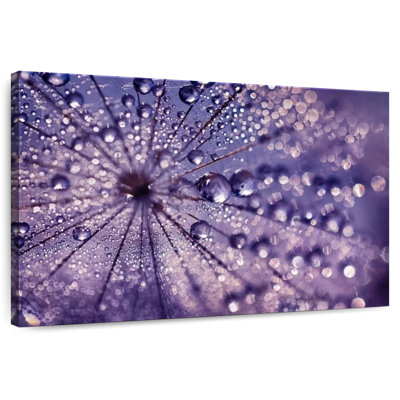 Harnek Purple Reflections