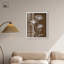«White Poppy II Shadowbox Print Boho Rustic Wall Art» par Art Remedy, cadre blanc, 24 x 30-42602731-42602730