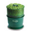 Indoor Gardening