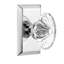 Studio Plate with Oval Fluted Crystal Door Knob-1973834547