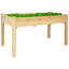 Fereol 4 ft x 2 ft Fir Wood Raised Garden Bed