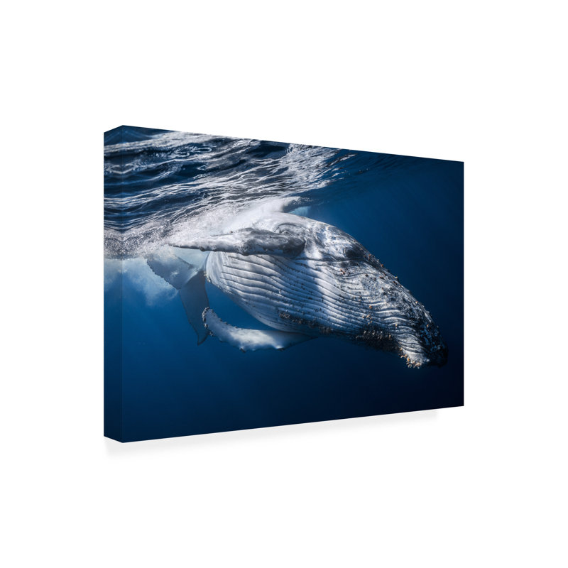 Art sur toile «bolathieu Gabriel la baleine», H 12 po x l 19 po