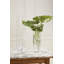 Vase Zuehlke-1773471061