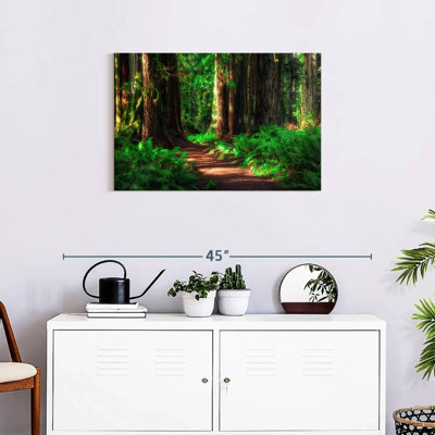 Alvord Path Through Forest