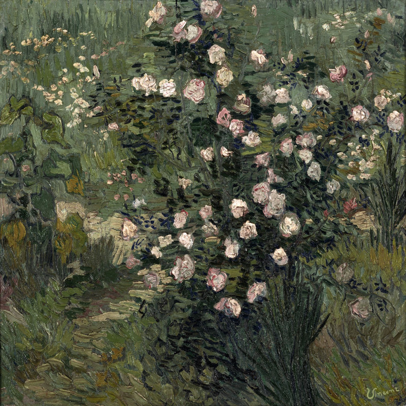 "Roses, 1889", reproduction sur toile tendue, H 48 po x l 48 po