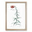 Tiger Lily Flower by Pierre-Joseph Redoute - Picture Frame Painting Print-55610944-55610946