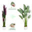 Ankitha Faux Bird of Paradise Plant-132189341