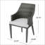 Backlund Premium All-Weather Wicker Outdoor Dining Armchair with Cushion-24810046