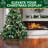 Wooden Tree Collar-103400725