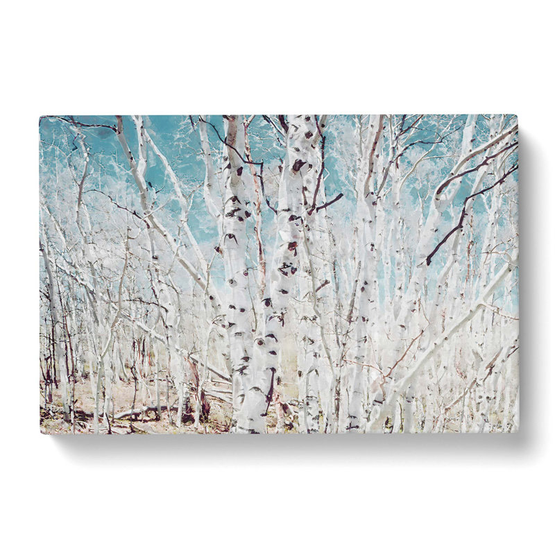 Birch Trees In Utah In Abstract - Wrapped Canvas Print, 40cm H x 60cm W x 3cm D