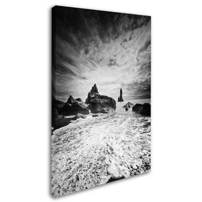 Fadel Black Tip by Philippe Sainte-Laudy Photographic Print on Wrapped Canvas