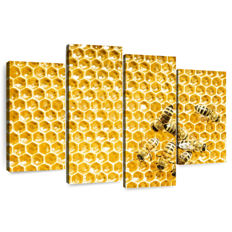 Brampt Honey Bee Cells, 48" H x 75" W
