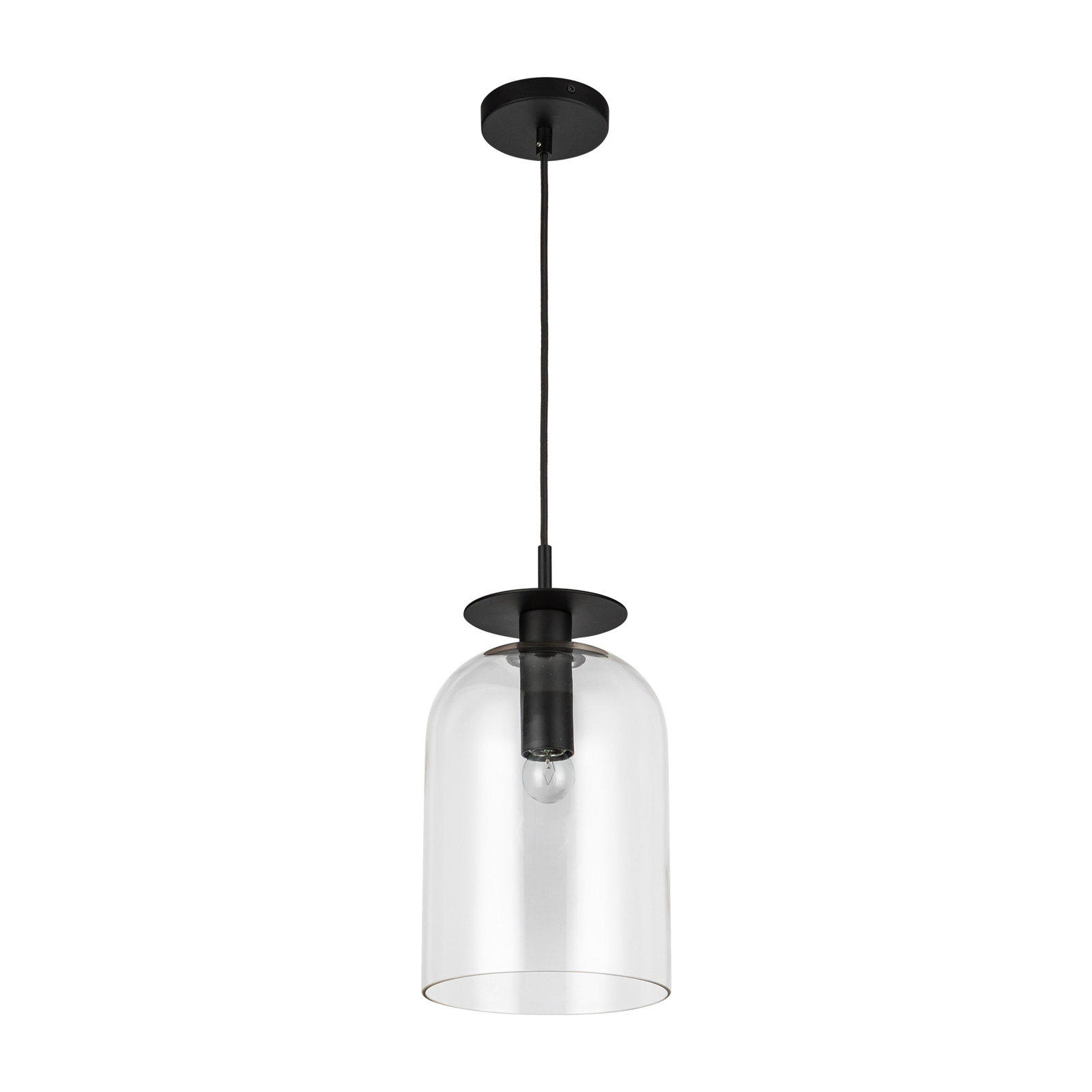Delisa Single Light Glass Steel Pendant, Matte Black