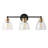 3-lamp matte black iron adjustable Vanity Light