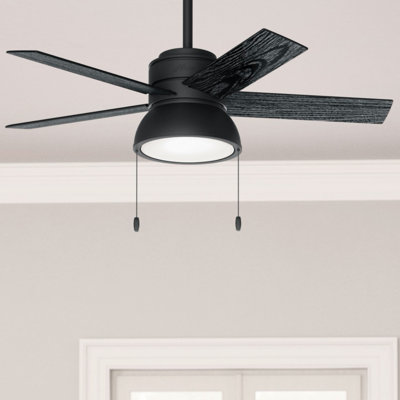 Lilliput 44" 5-Blade Standard Ceiling Fan With Lights And Pull Chains