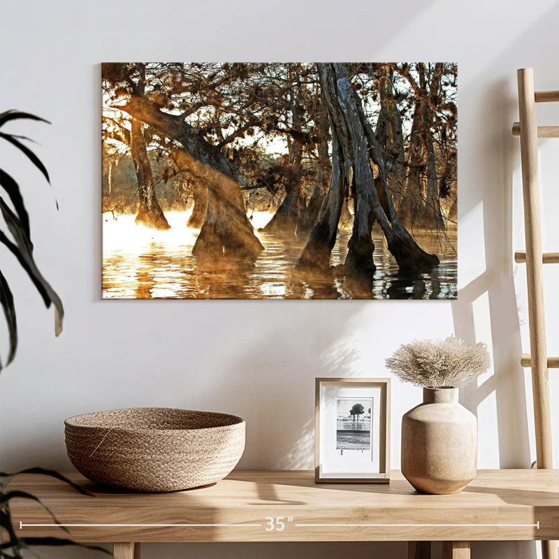 Harnek Cypress Creek II, H 16 po x l 24 po