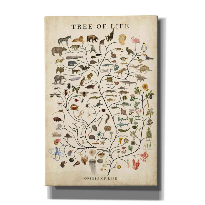 «Tree of Life» par Studio W, art mural sur toile, H 18 po x l 12 po x P 0,75 po