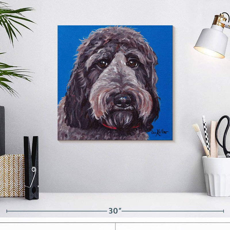 Crowle Labradoodle, 16" H x 16" W