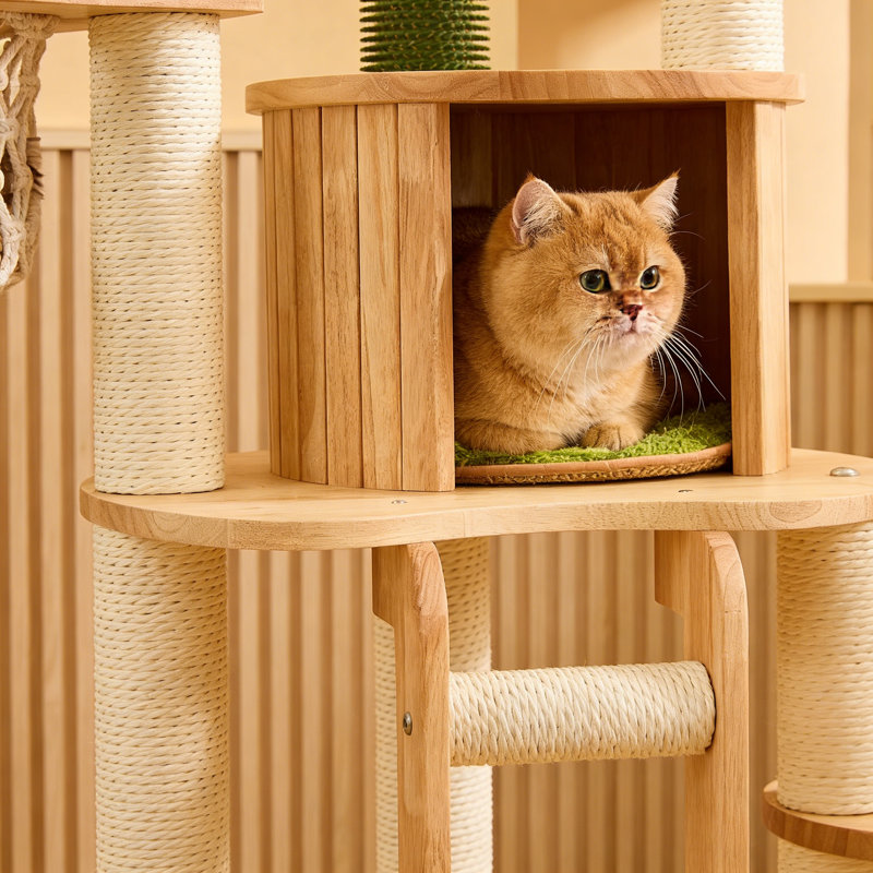 Structure d'escalade simple en bois massif pour chat