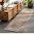 Aderholt Oriental Indoor Rug-1877889699