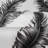 Cobus Animal Print Roll