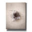«Nest III» par Debra Van Swearingen, art mural sur toile-1453952880