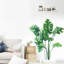Wall Decor on Polyvinyl Chloride (PVC)