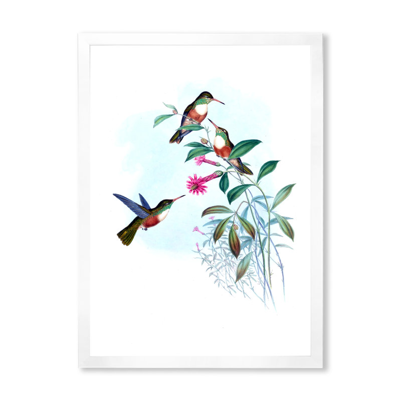 Colibri rétro IV - peinture sur toile, H 32 po x l 16 po x P 1 po, Cadre photo blanc