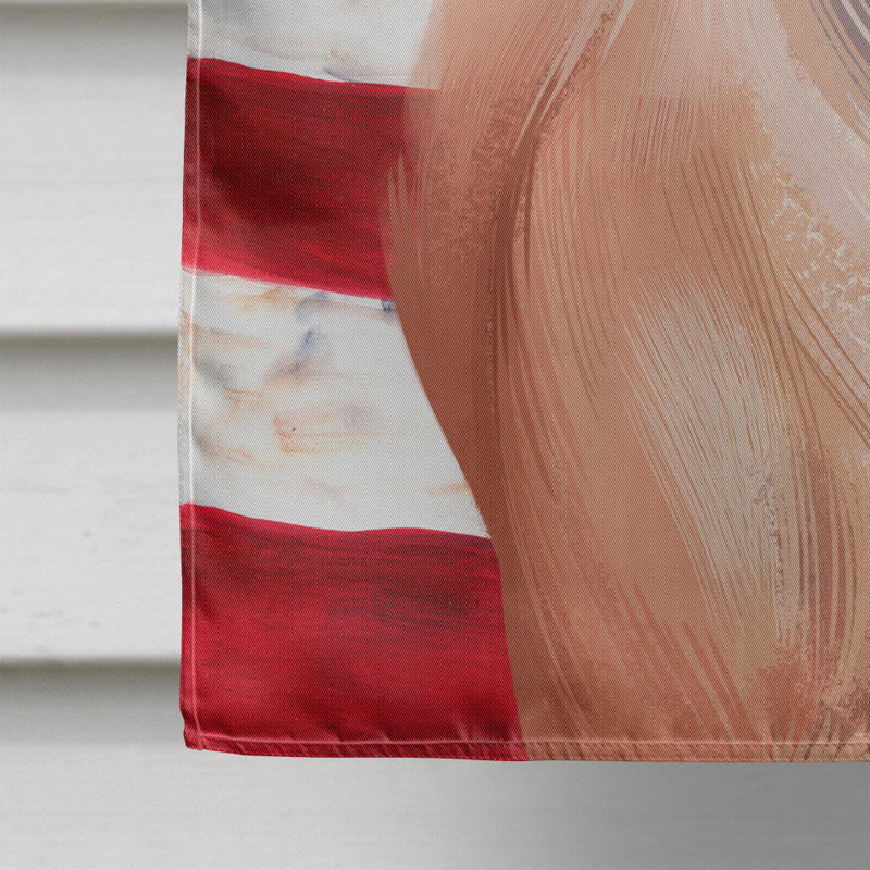 Polyester à 2 côtés 28 x 40 po drapeau maison, Alano espanol