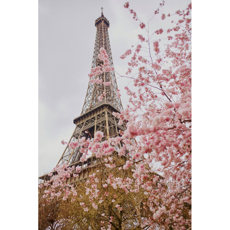Netter Eiffel Tower - Wrapped Canvas Print, 46cm H x 30cm W x 3.8cm D