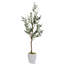 6.5' Olive Tree in White Hudson Planter