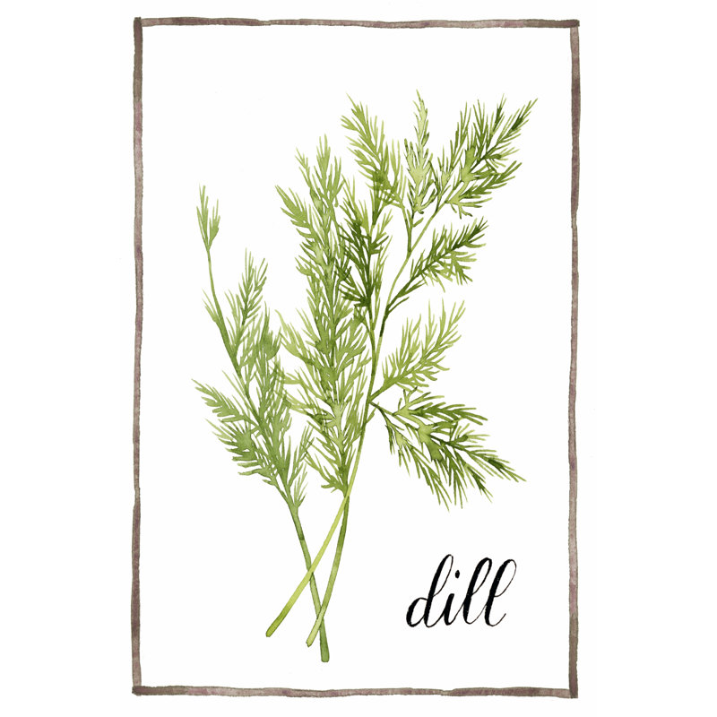 Watercolour Herbs III by Grace Popp - Wrapped Canvas Art Prints, 46cm H x 30cm W
