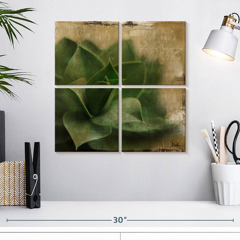 Harnek Succulent II