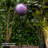 Bolsover Weather Resistant Gazing Ball Stand