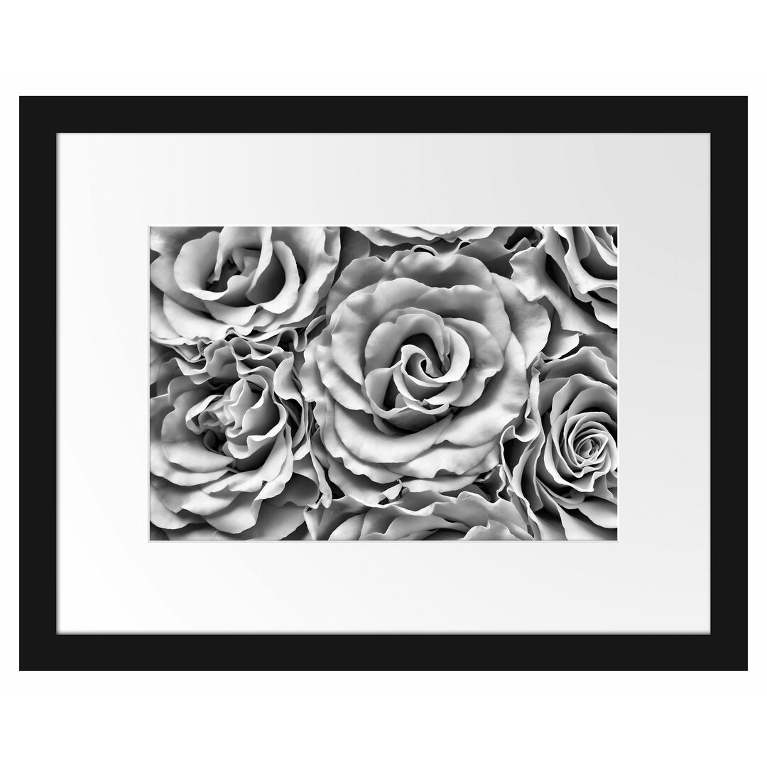 Gerahmtes Poster Blumen Rosen Blumenmeer