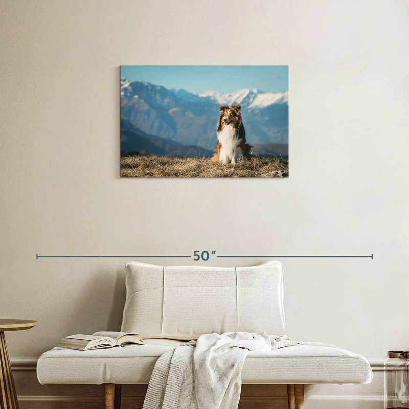 Brampt Shetland Sheepdog, 20" H x 30" W