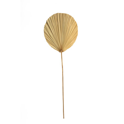 Wall Decor on Rattan