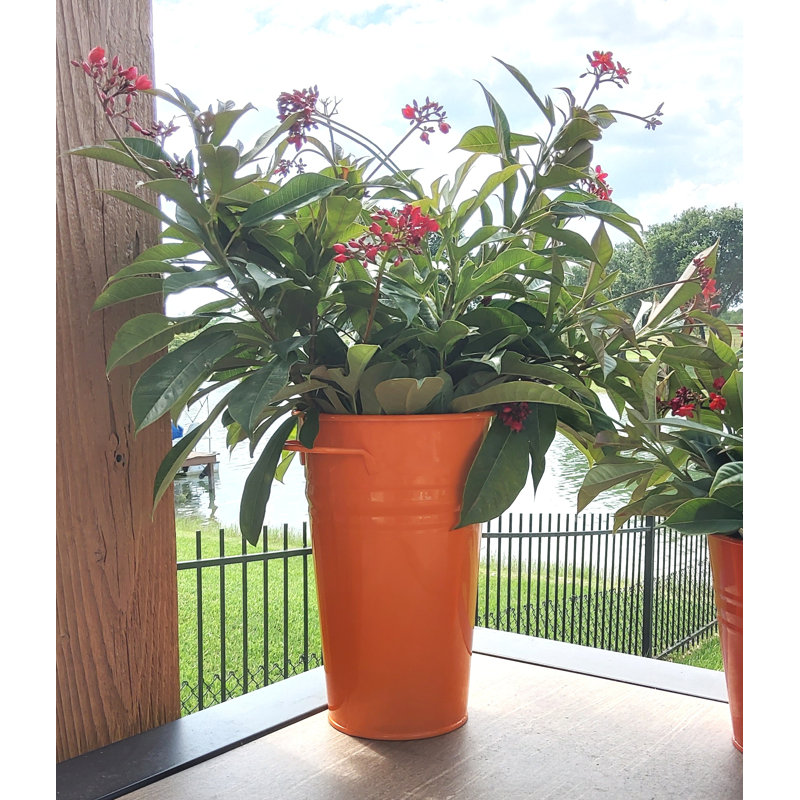 Vase de table Marland, Mandarine