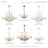 Elser 12 - Light Dimmable Chandelier-455786796