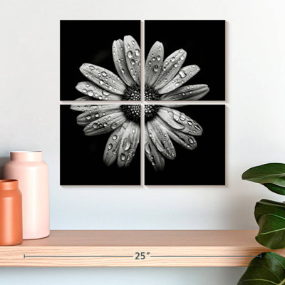Harnek Backyard Flowers BW I