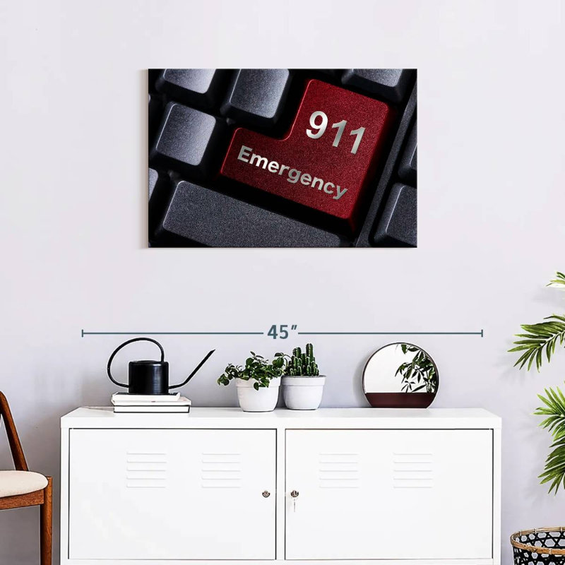 Alcaraz 911 Emergency, 20" H x 30" W