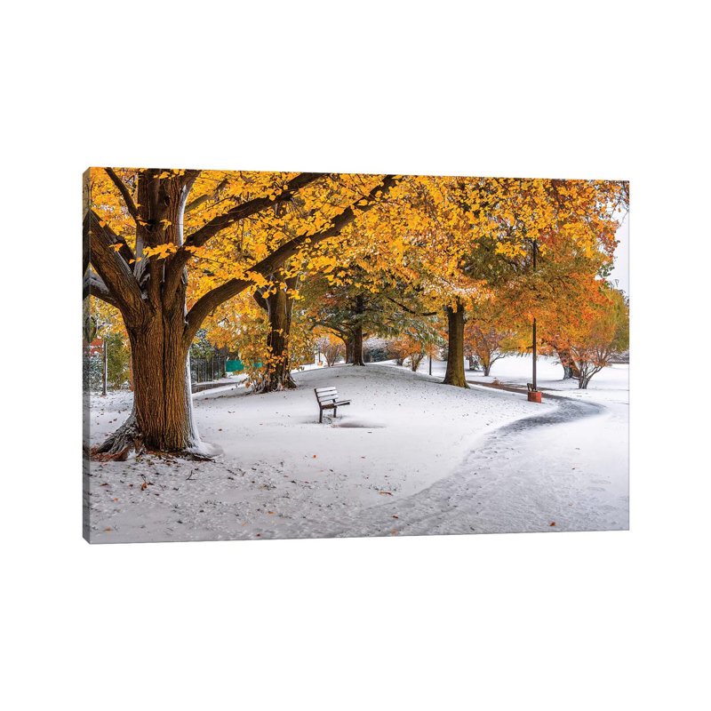 Bench In Snow by Nejdet Duzen - Wrapped Canvas Gallery-Wrapped Canvas Giclée, 20.32 cm H x 30.48 cm W