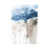 Toile tendue